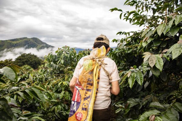 Peru, Cajamarca