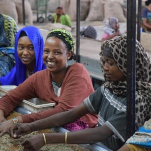 ethiopian-women-sorting-coffee
