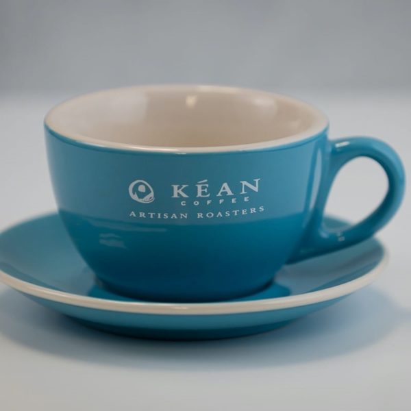 Blue/White Ceramic Cup and Saucer