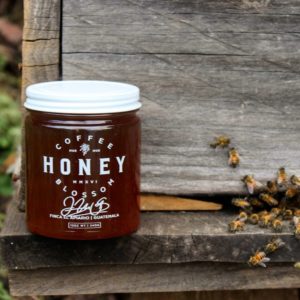 coffee-blossom-honey-bees